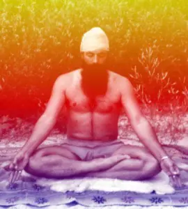 Lo Yoga delle Asana
