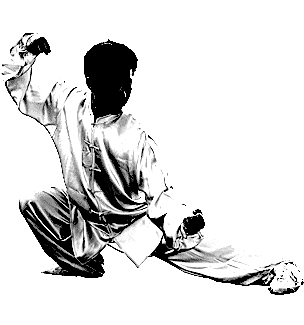 TAIJI QUAN